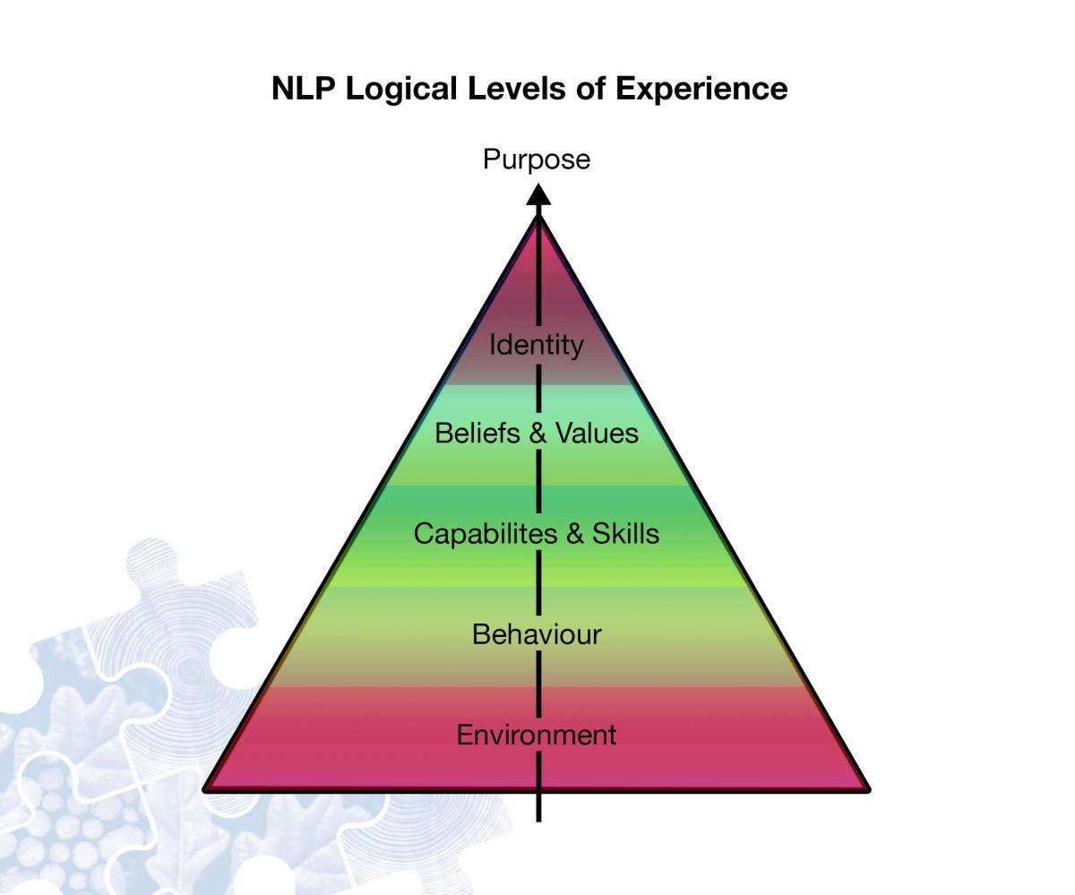 NLP Logical levels of experience chart